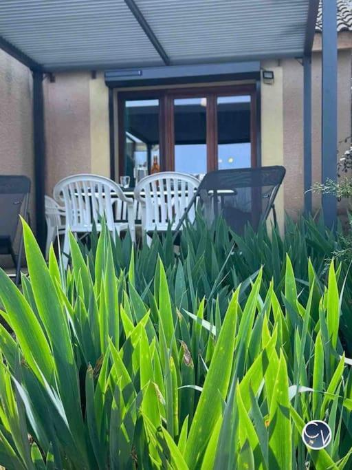 St-Germain - Les Terrasses De L'Ardeche - Piscine Apartment Салава Екстериор снимка